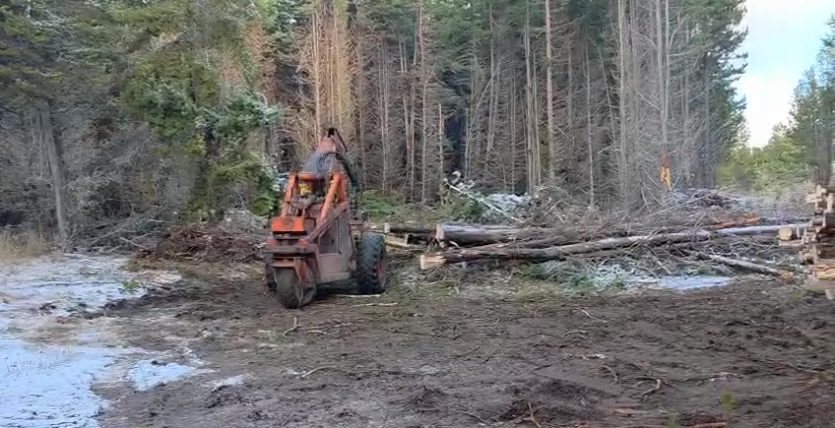 WhatsApp Video 2026-07-06 at 9.14.07 PM (1) - frame at 0m8s